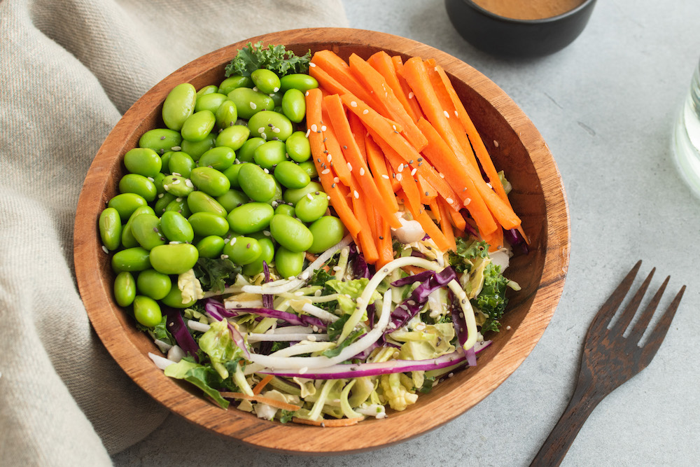 ダイエットフード yyyy 2700 calorie high protein vegan meal plan w/ PDF - Strongr Fastr
